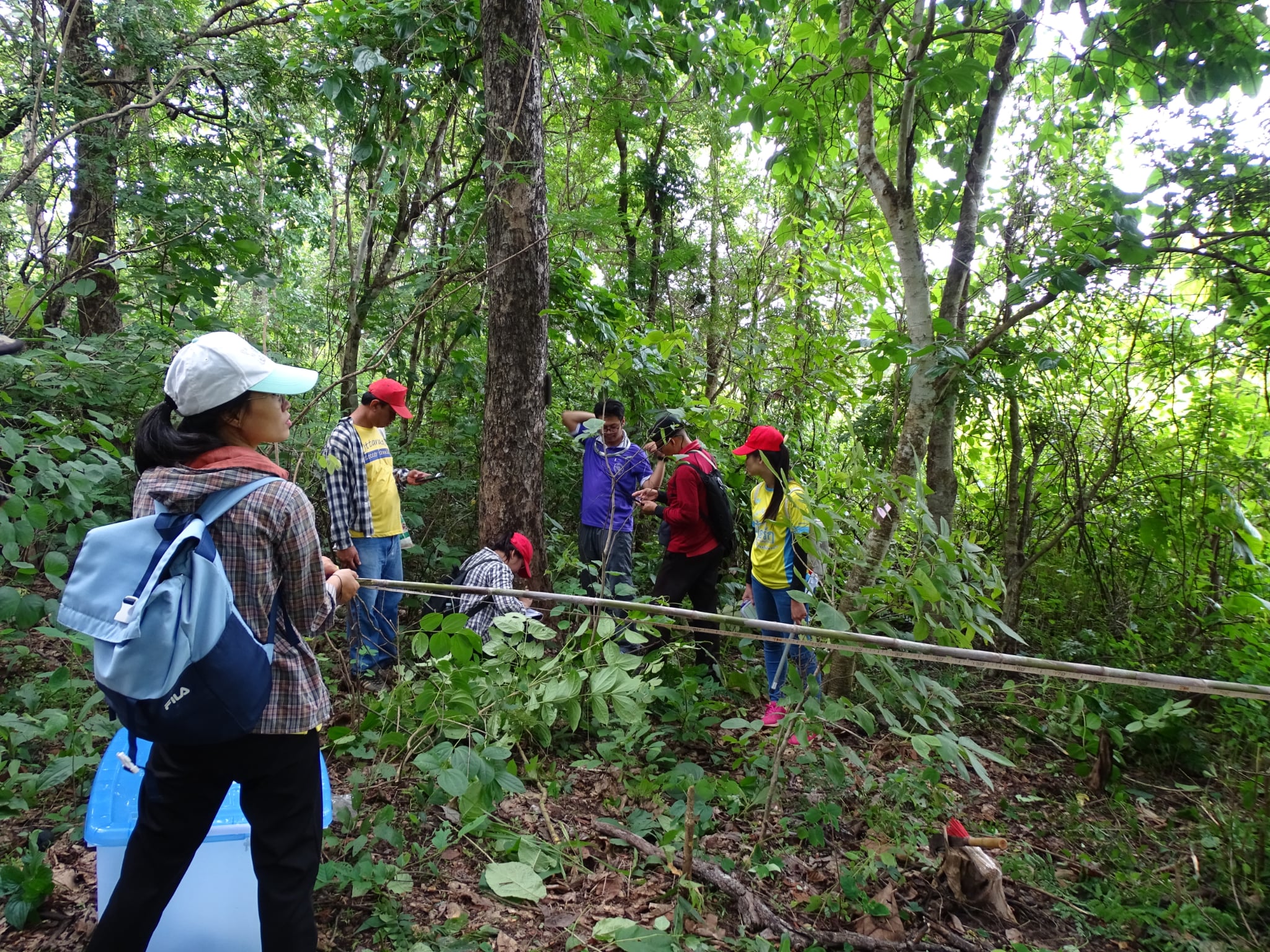 รูปที่ 6